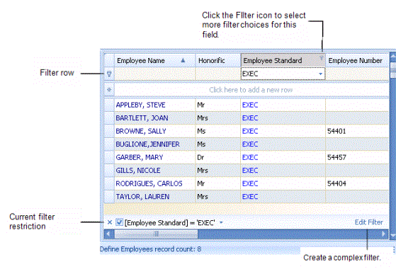 screen shot of a grid view showing the filter row