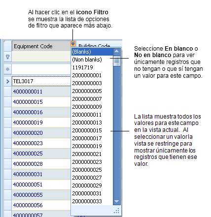ejemplo de opciones del menú del icono Filtro