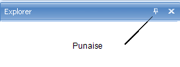 Capture d'écran montrant la punaise dans la barre de titre de l'Explorateur. La punaise est utilisée pour ancrer le panneau.