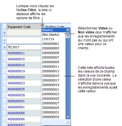 exemple les options du menu de l'icône Filtre