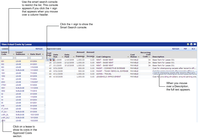 screen shot of the Actual Costs by Lease report