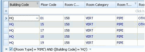 user-defined filter definition shown at the bottom of the grid